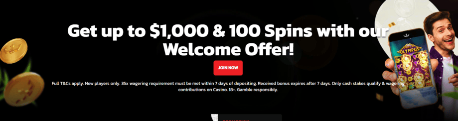 royal panda welcome bonus