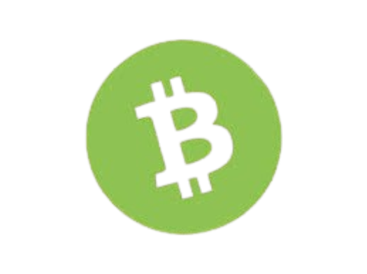 Bitcoin Cash