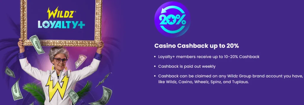 Wildz Casino VIP Programm