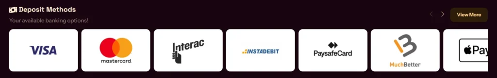 Grizzly's Quest Casino payment options